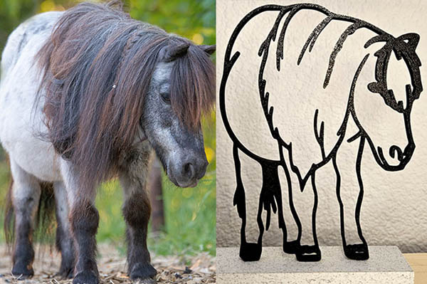 Foto und daraus erstelltes 3D-Tierporträt eines Ponys